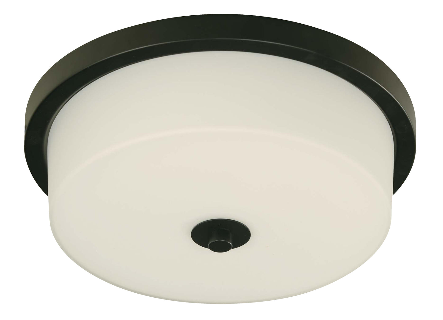 2-Light Ceiling Lamp – Matte Black