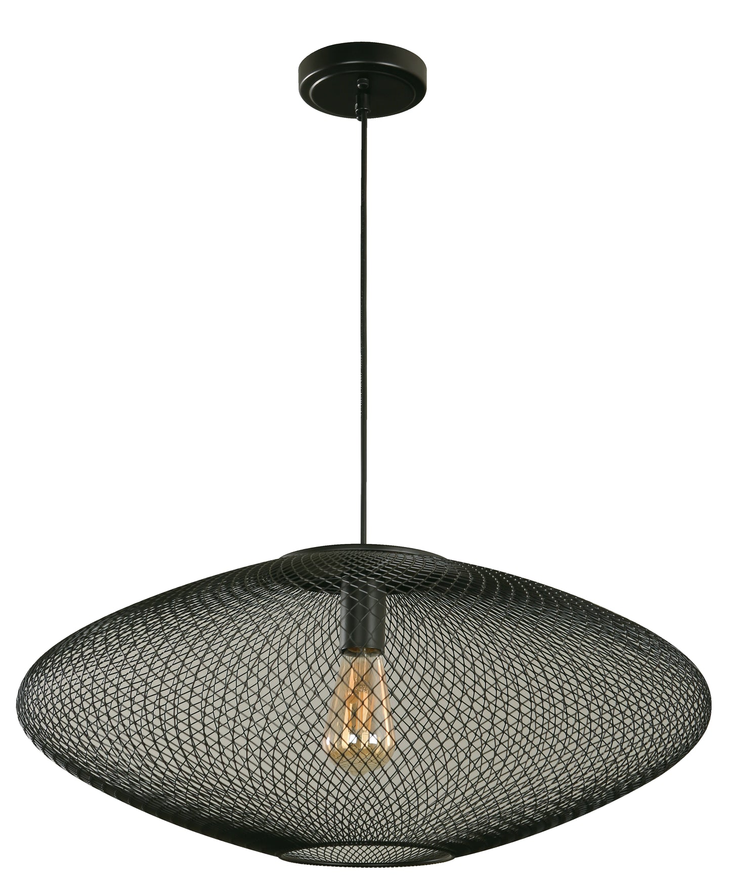 1-Light Hanging Lamp – Black Finish