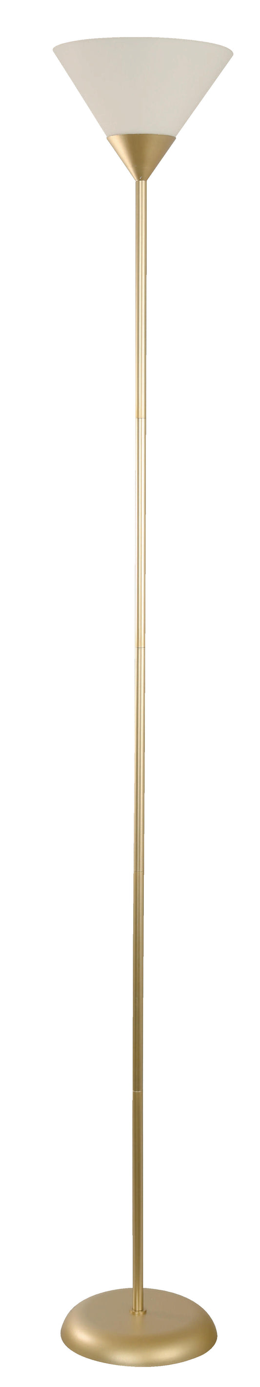 Elegant 1-Light Floor Lamp – Gold Finish (E27, 60W)