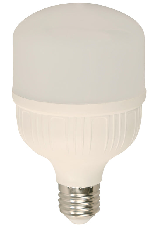 20W T80 LED Bulb – E27 (100–240V, 6500K Daylight)