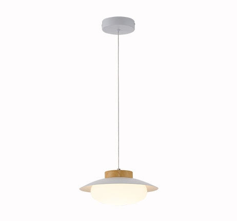 LED PENDANT LAMP 10W 3K/4K/6K 100-240V 650LM D28*H
770 LIGHTS - PAIS: China